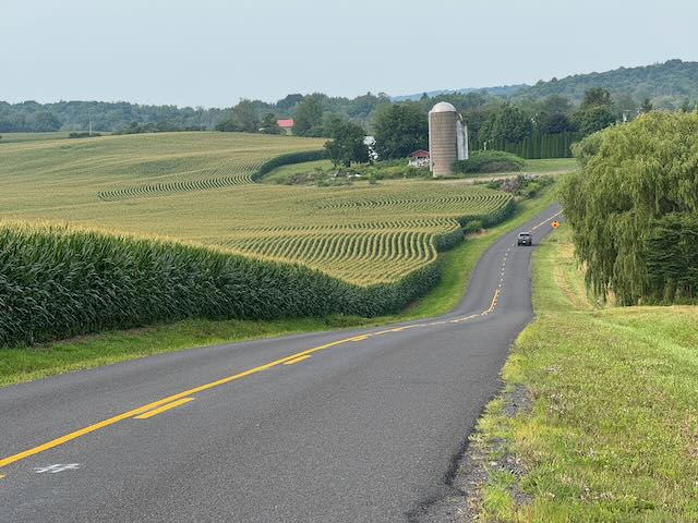 Stacks Image 1964